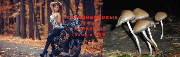 не бодяженный Алексеевка