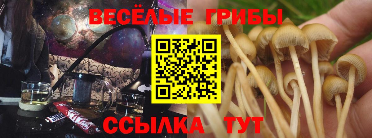 Сосновый Бор  Галлюциногенные грибы GOLDEN TEACHER  Вход с VPN 