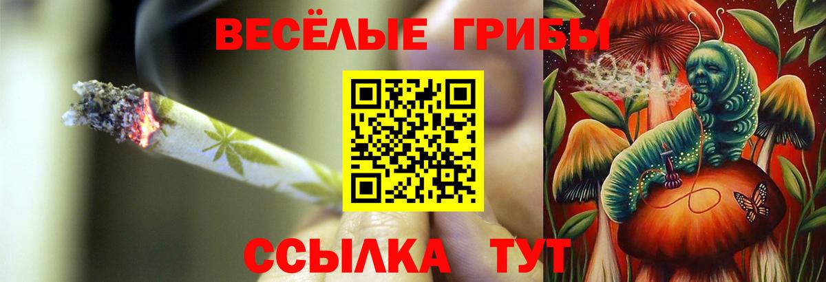 Галлюциногенные грибы мухоморы Сосновый Бор